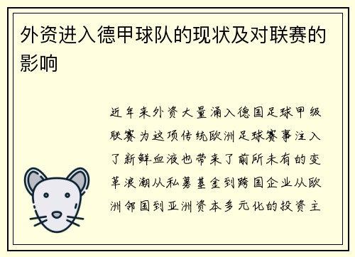 外资进入德甲球队的现状及对联赛的影响
