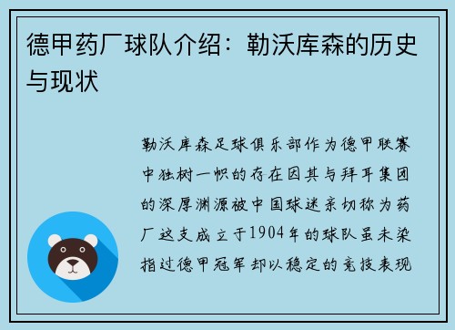 德甲药厂球队介绍：勒沃库森的历史与现状